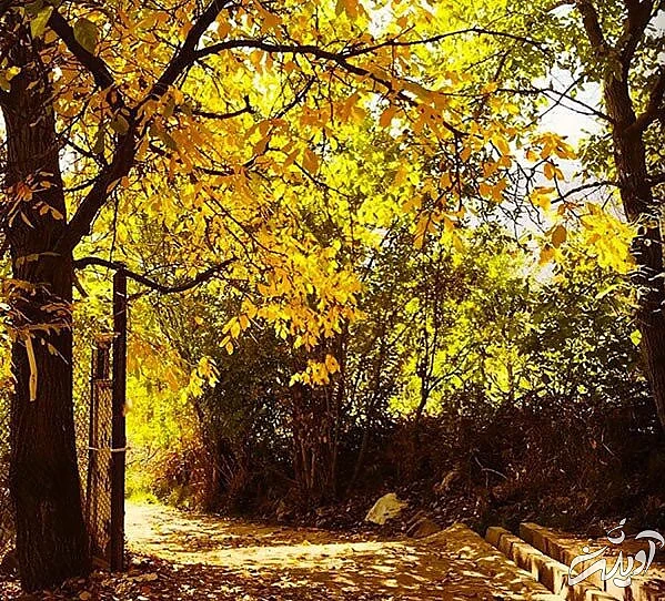 روستایی که ناصرالدین شاه در آن عاشق شد